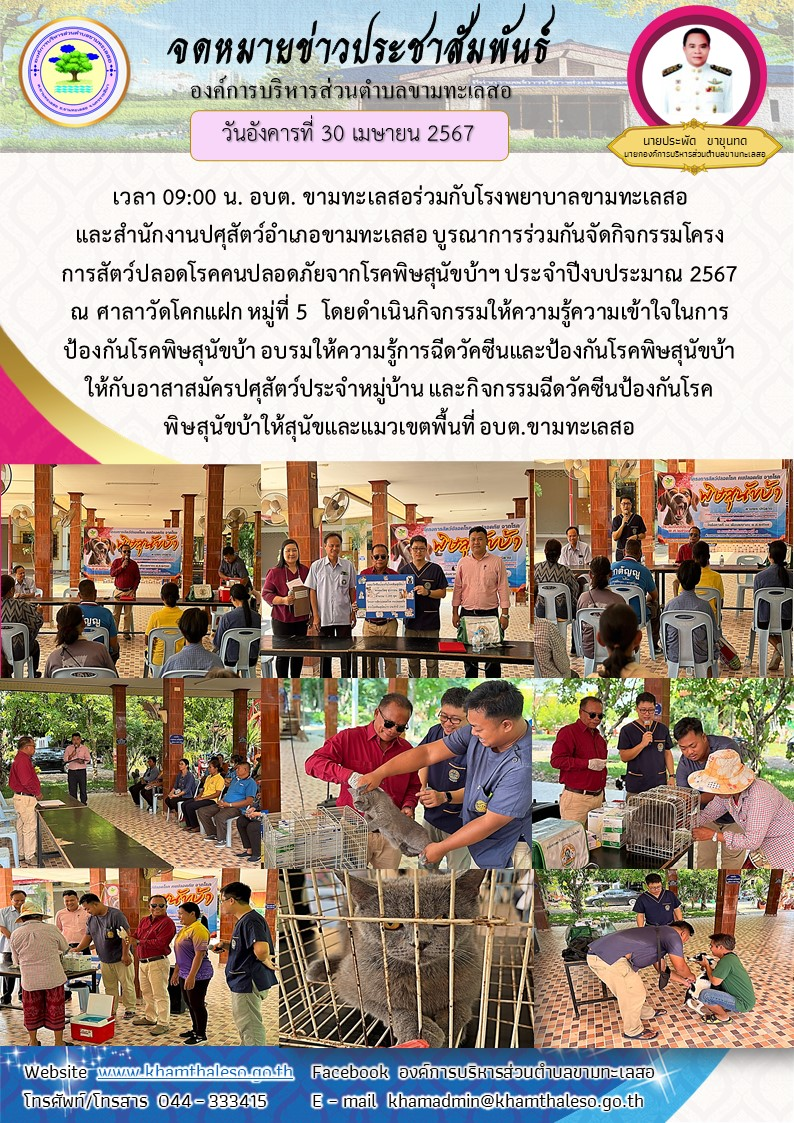 วันอังคารที่ 30 เมษายน 2567 เวลา 09:00 น. อบต. ขามทะเลสอร่วมกับโรงพยาบาลขามทะเลสอและสำนักงานปศุสัตว์อำเภอขามทะเลสอ บูรณาการร่วมกันจัดกิจกรรมโครงการสัตว์ปลอดโรคคนปลอดภัยจากโรคพิษสุนัขบ้าฯ ประจำปีงบประมาณ 2567 ณ ศาลาวัดโคกแฝก หมู่ที่ 5 โดยดำเนินกิจกรรมให้ความรู้ความเข้าใจในการป้องกันโรคพิษสุนัขบ้า อบรมให้ความรู้การฉีดวัคซีนและป้องกันโรคพิษสุนัขบ้าให้กับอาสาสมัครปศุสัตว์ประจำหมู่บ้าน และกิจกรรมฉีดวัคซีนป้องกันโรคพิษสุนัขบ้าให้สุนัขและแมวเขตพื้นที่ อบต.ขามทะเลสอ