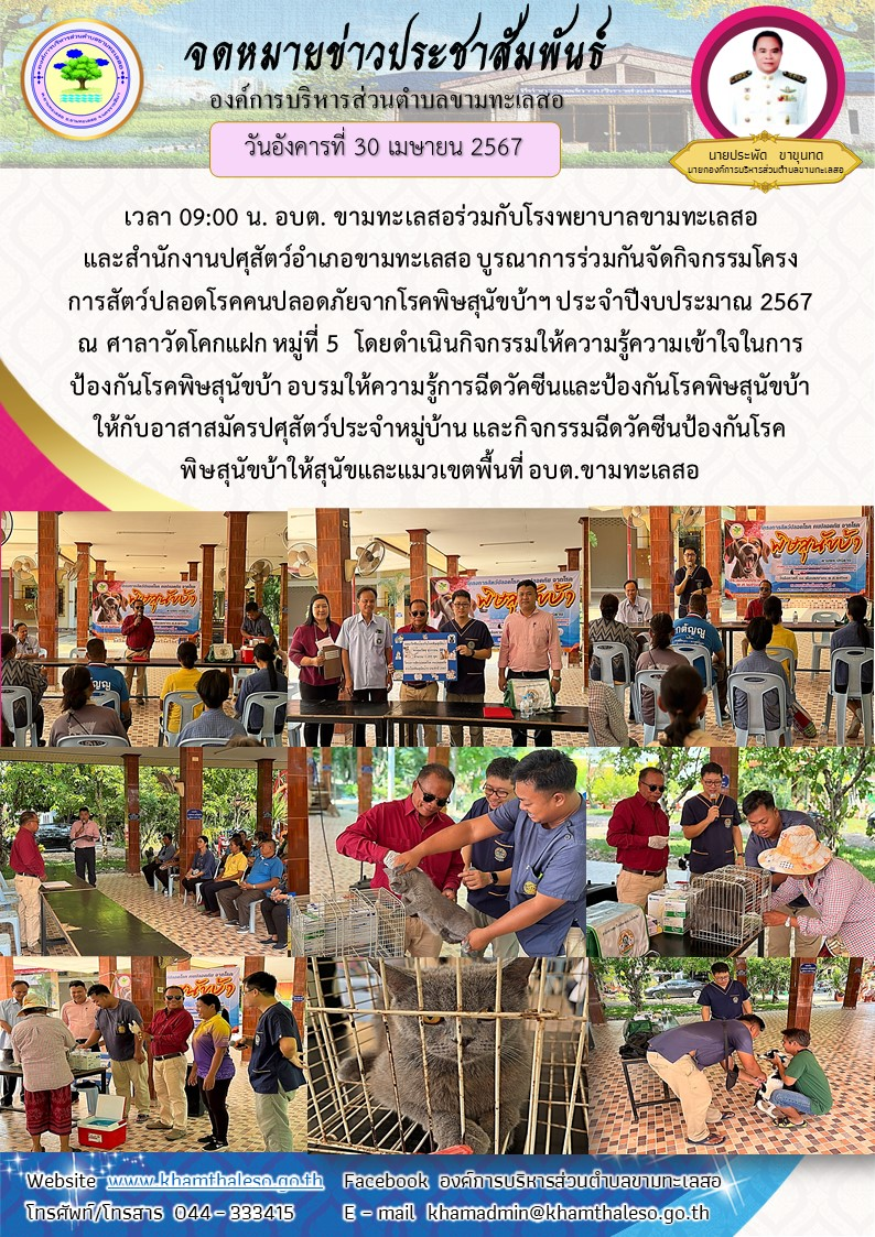    วันอังคารที่ 30 เมษายน 2567 เวลา 09:00 น. อบต. ขามทะเลสอร่วมกับโรงพยาบาลขามทะเลสอและสำนักงานปศุสัตว์อำเภอขามทะเลสอ บูรณาการร่วมกันจัดกิจกรรมโครงการสัตว์ปลอดโรคคนปลอดภัยจากโรคพิษสุนัขบ้าฯ ประจำปีงบประมาณ 2567 ณ ศาลาวัดโคกแฝก หมู่ที่ 5  โดยดำเนินกิจกรรมให้ความรู้ความเข้าใจในการป้องกันโรคพิษสุนัขบ้า อบรมให้ความรู้การฉีดวัคซีนและป้องกันโรคพิษสุนัขบ้าให้กับอาสาสมัครปศุสัตว์ประจำหมู่บ้าน และกิจกรรมฉีดวัคซีนป้องกันโรคพิษสุนัขบ้าให้สุนัขและแมวเขตพื้นที่ อบต.ขามทะเลสอ