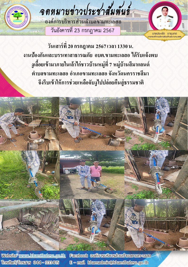 วันเสาร์ที่ 20 กรกฎาคม 2567 เวลา 1330 น.งานป้องกันและบรรเทาสาธารณภัย อบต.ขามทะเลสอ ได้รับแจ้งพบงูเลื้อยเข้ามาภายในเล้าไก่ชาวบ้านหมู่ที่ 7 หมู่บ้านสีมาแลนด์ ตำบลขามทะลสอ อำเภอขามทะลสอ จังหวัดนครราชสีมา จึงรีบเข้าให้การช่วยเหลือจับงูไปปล่อยคืนสู่ธรรมชาติ